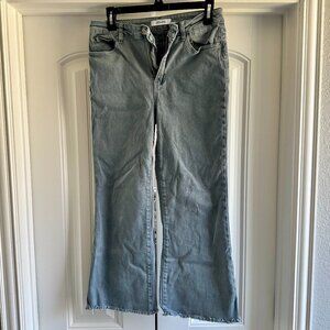 Zenana Distressed Blue/Gray Jeans